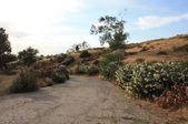 Enlarge photo 64