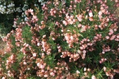 Enlarge photo 63