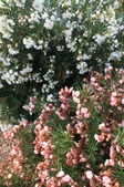 Enlarge photo 66