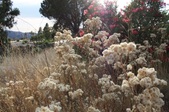 Enlarge photo 68