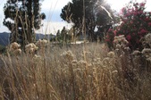 Enlarge photo 71