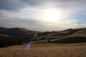 Enlarge photo 72