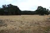 Enlarge photo 1