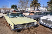 Cadillac Jacks