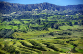 Central Valley