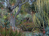 Enlarge photo 2