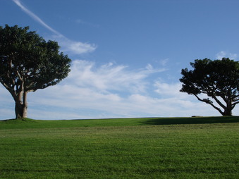 Pepperdine University