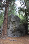 Enlarge photo 2