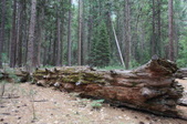 Enlarge photo 25