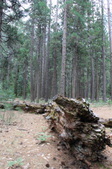 Enlarge photo 26