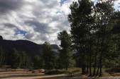 Enlarge photo 31