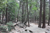 Enlarge photo 40