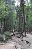 Enlarge photo 41