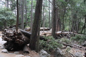 Enlarge photo 43