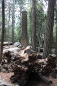Enlarge photo 44