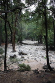 Enlarge photo 46