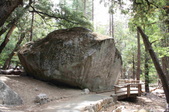 Enlarge photo 47