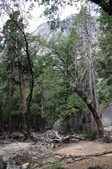 Enlarge photo 49