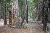 Enlarge photo 50
