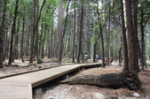 Enlarge photo 51