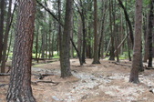 Enlarge photo 52