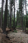 Enlarge photo 53