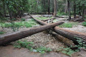 Enlarge photo 54