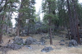 Enlarge photo 1