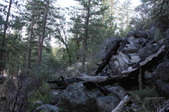 Enlarge photo 10