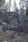 Wawona
