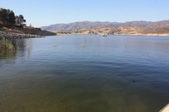 Enlarge photo 41