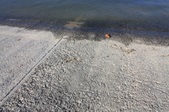 Enlarge photo 42