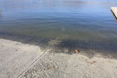 Enlarge photo 43