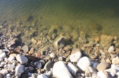 Enlarge photo 51