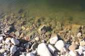 Enlarge photo 52