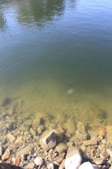 Enlarge photo 53