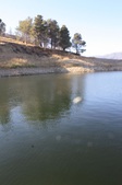Enlarge photo 54