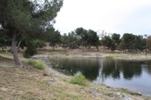 Enlarge photo 1