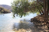 Enlarge photo 30