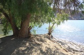 Enlarge photo 35