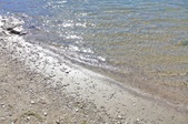 Enlarge photo 38