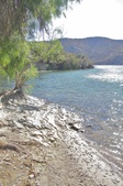 Enlarge photo 43
