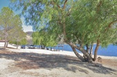 Enlarge photo 49