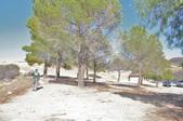 Enlarge photo 50