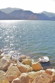 Enlarge photo 52