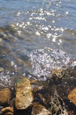 Enlarge photo 61