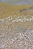 Enlarge photo 71