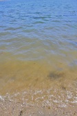 Enlarge photo 72