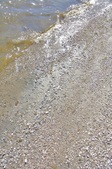 Enlarge photo 74