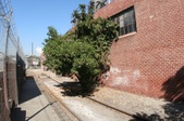 Enlarge photo 45